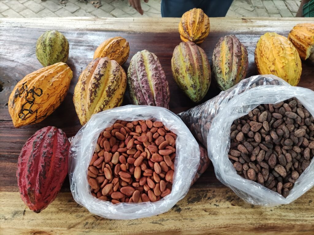 Tipos de cacao